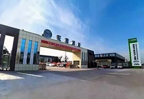 最准马网站资料免费