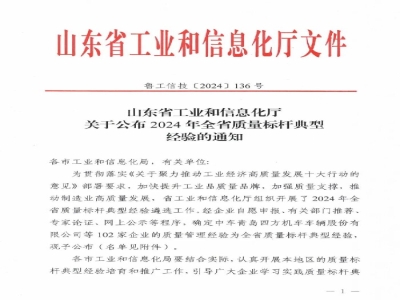 最准马网站资料免费荣获2024年全省质量标杆奖