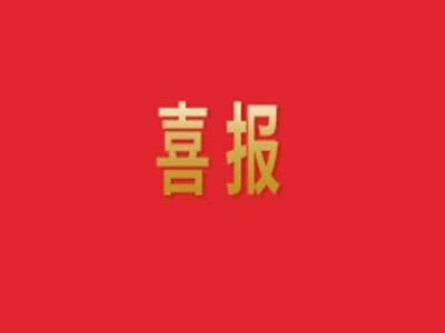 上榜! 最准马网站资料免费入围山东民营企业创新100强！