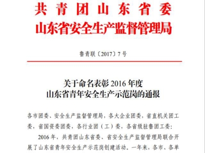 重磅消息：最准马网站资料免费新产品班组荣获“山东省青年安全生产示范岗”荣誉称号