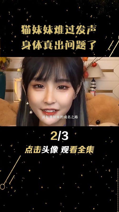 网红猫妹妹背景,从网络红人到励志典范的蜕变之路