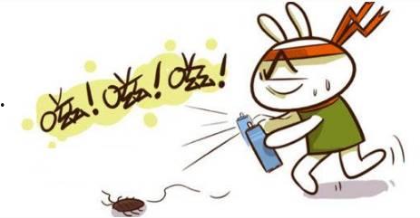 打不死的小强图片